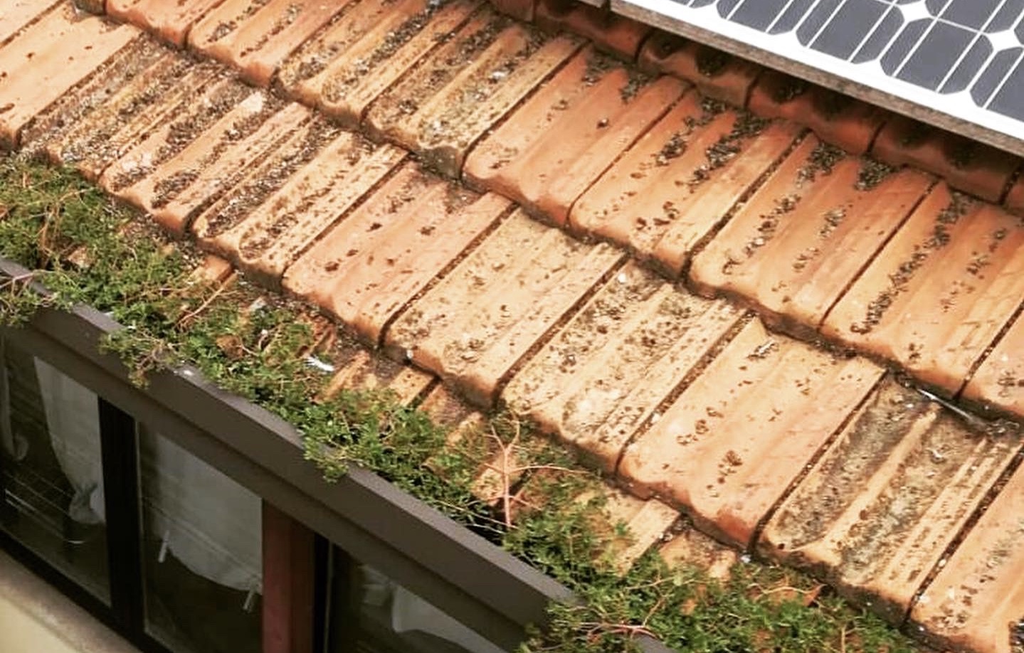 Come dare lunga vita al tuo tetto?