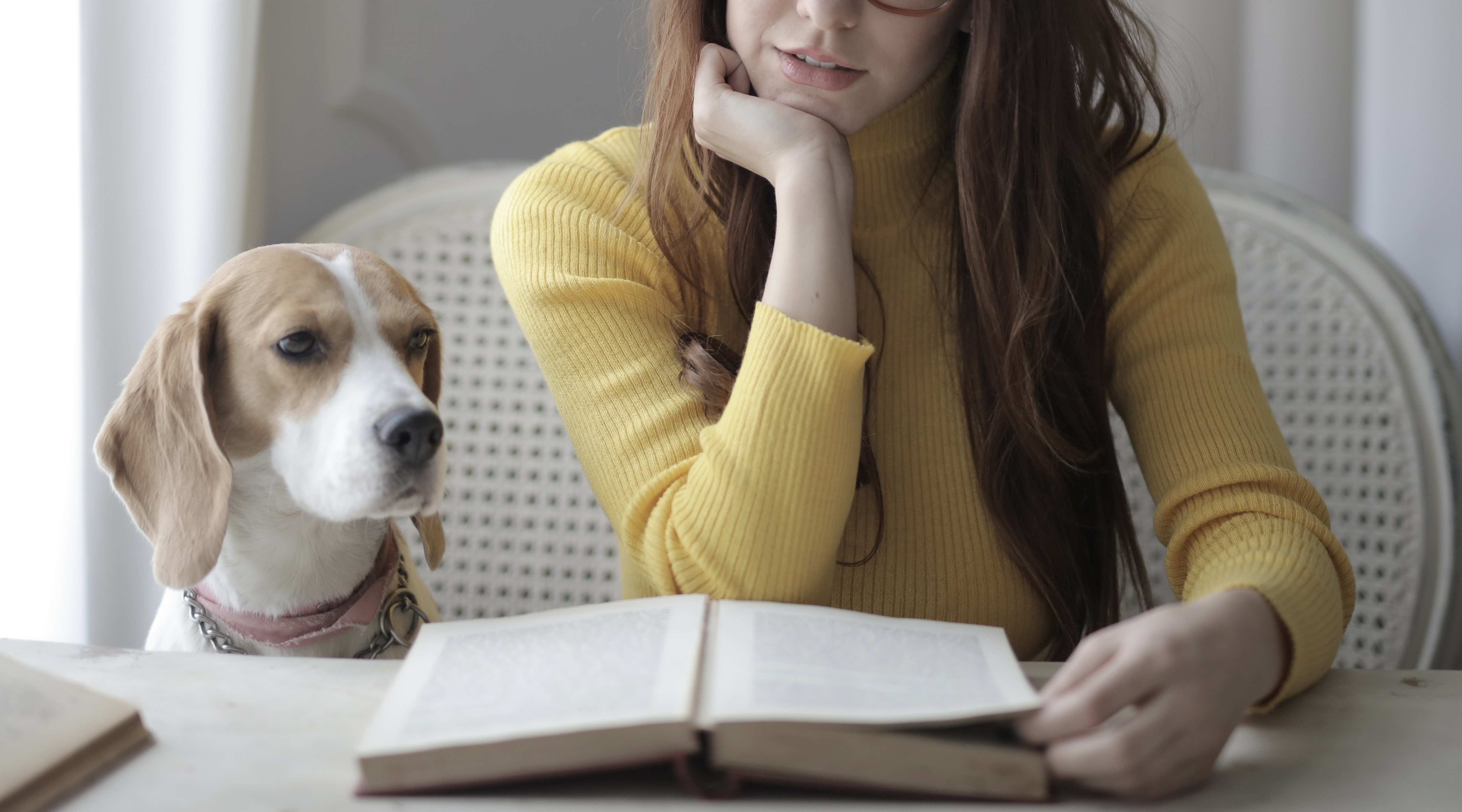 Edilizia e qualità dell'aria indoor: in che modo sono connessi